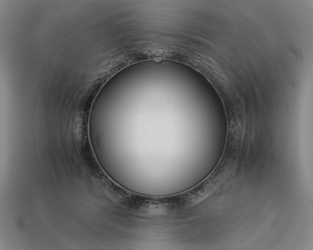 X0000113370416200909291055