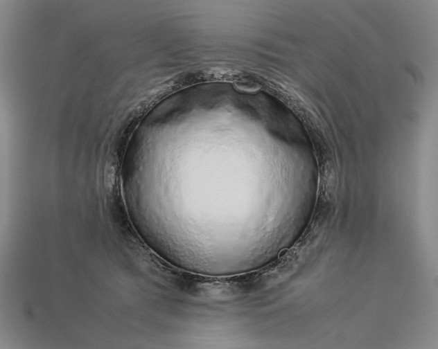 X0000113370417200909291055