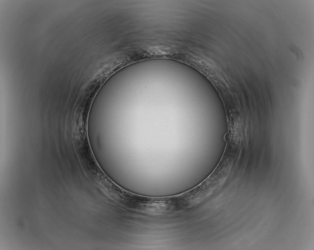 X0000113370418200909291055