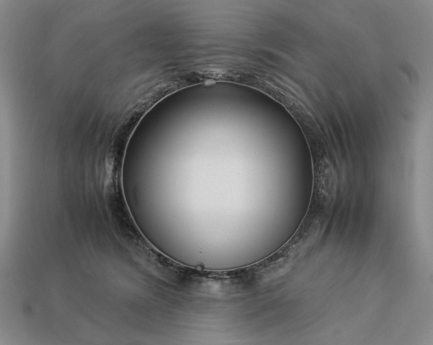 X0000113370420200909291055