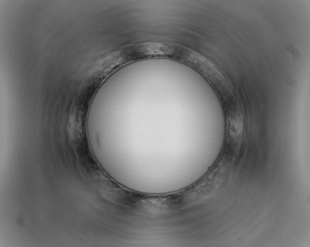 X0000113370422200909291055