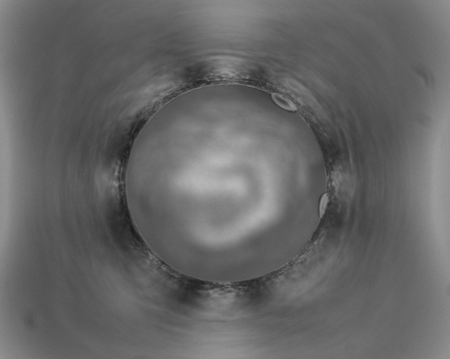 X0000113370423200909291055