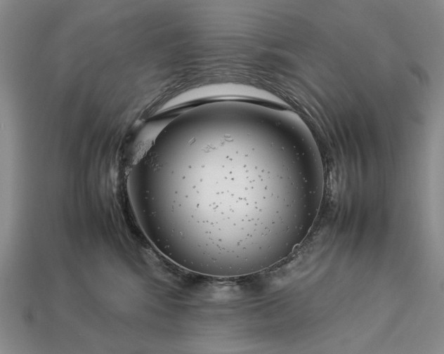 X0000113370424200909291055