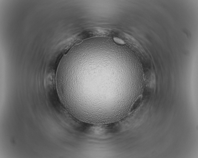 X0000113370425200909291055