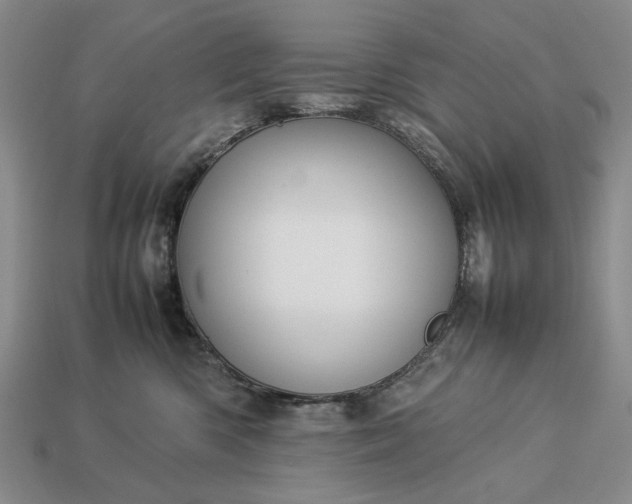 X0000113370426200909291055