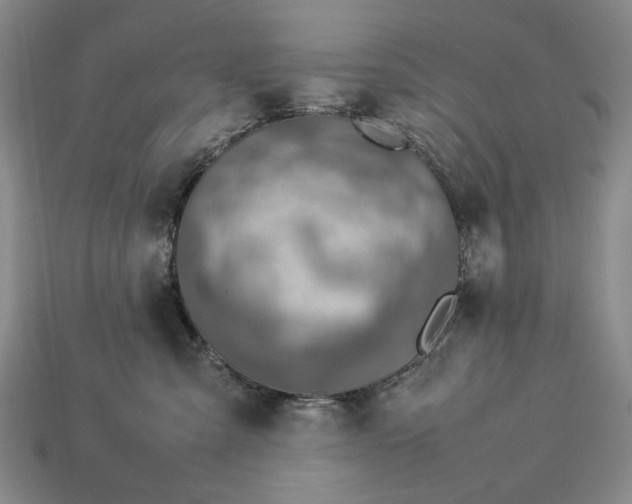 X0000113370427200909291055