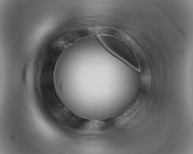 X0000113370429200909291055