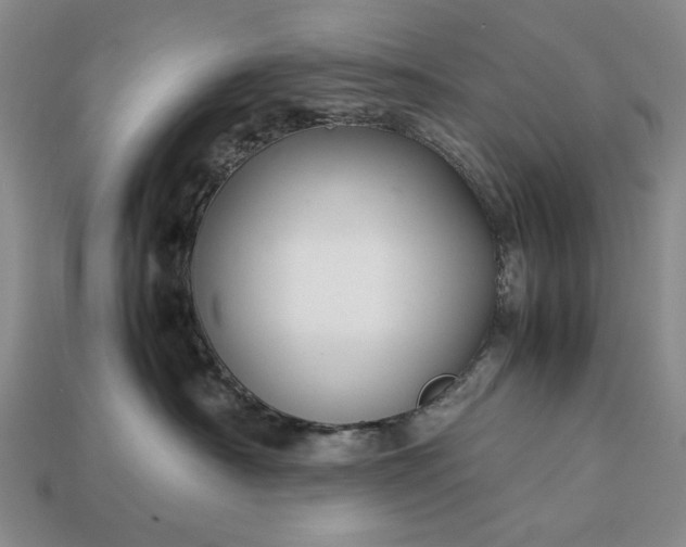 X0000113370430200909291055