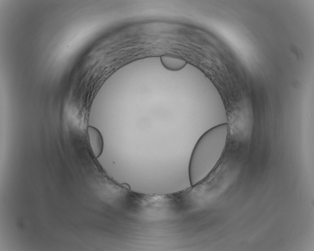 X0000113370431200909291055