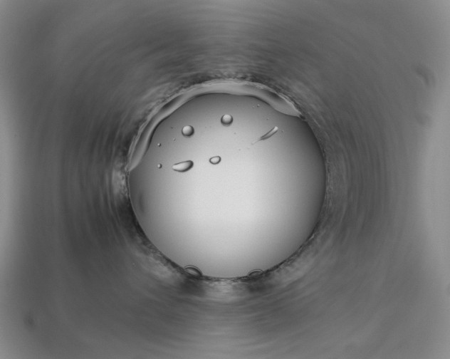 X0000113370432200909291055