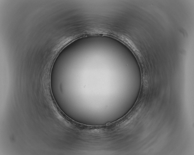 X0000113370433200909291054