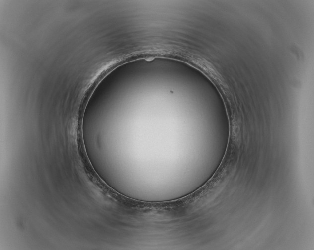 X0000113370434200909291054