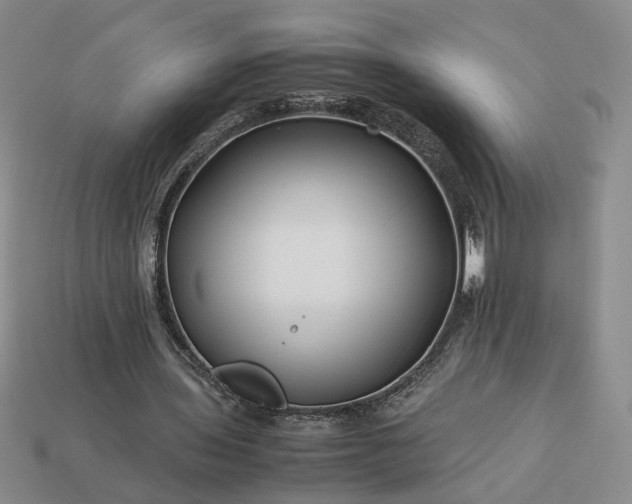 X0000113370435200909291054