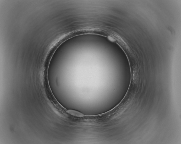 X0000113370436200909291054