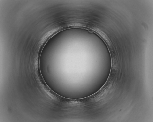 X0000113370437200909291054