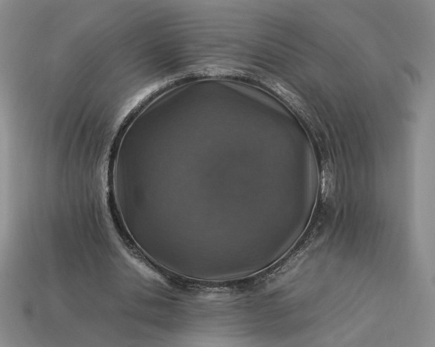 X0000113370438200909291054