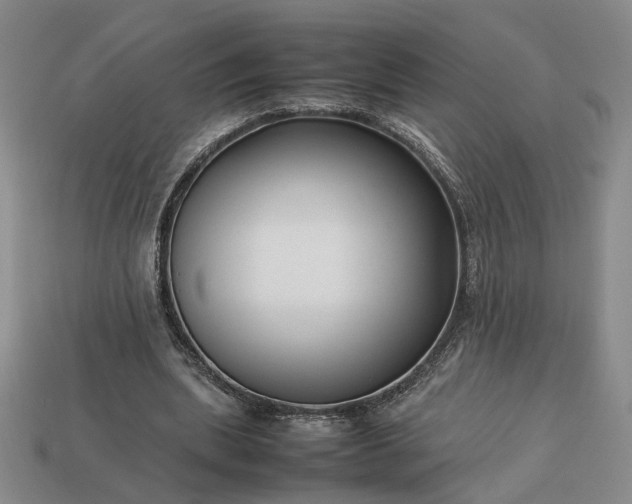 X0000113370439200909291054