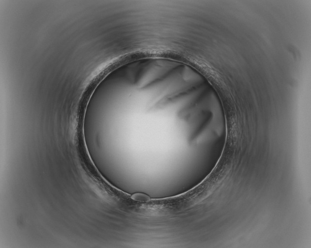 X0000113370440200909291055