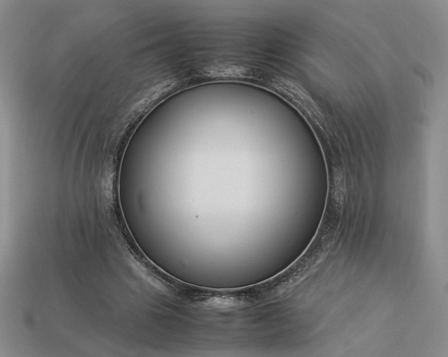 X0000113370441200909291055