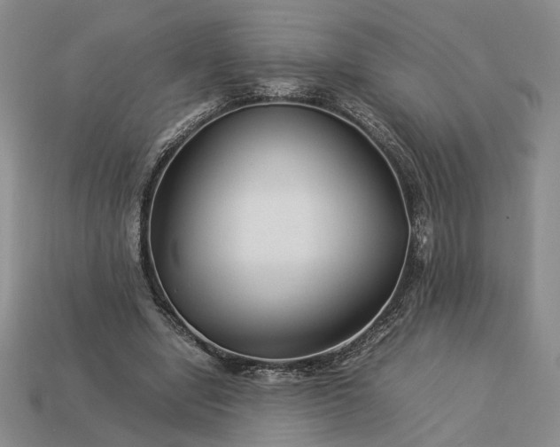 X0000113370442200909291055