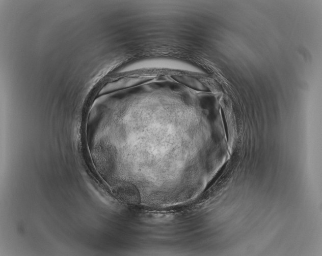 X0000113370443200909291055