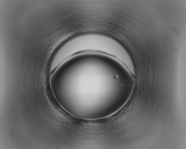 X0000113370444200909291055