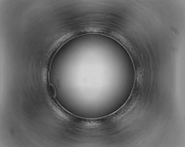 X0000113370445200909291055