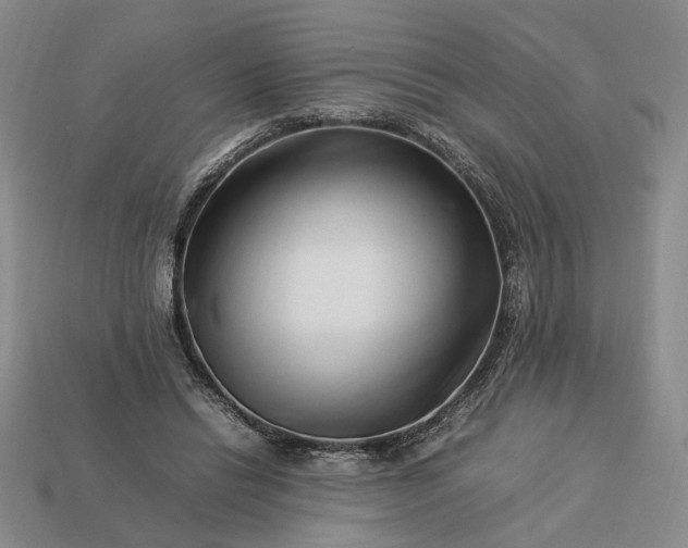 X0000113370446200909291055