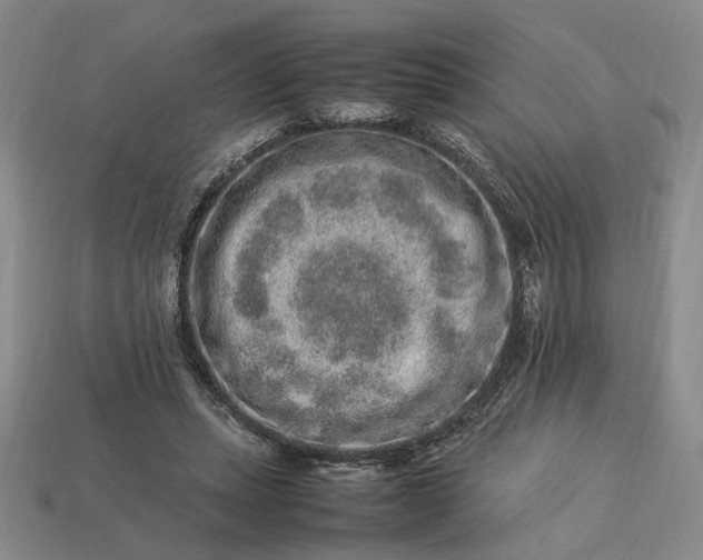 X0000113370447200909291055