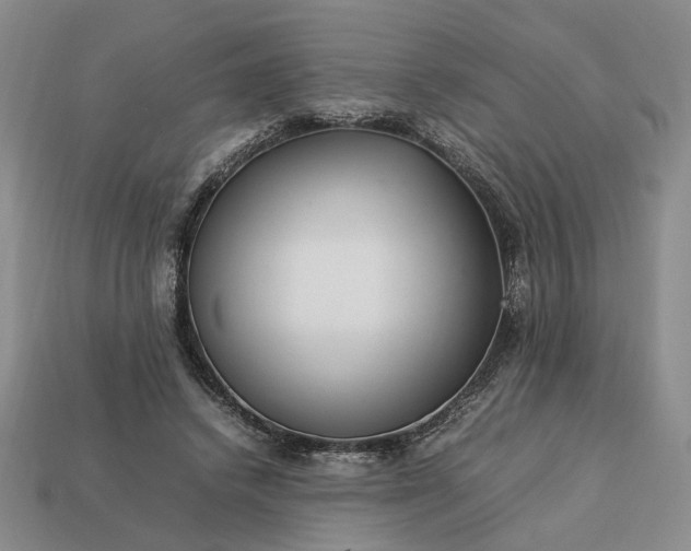 X0000113370448200909291055