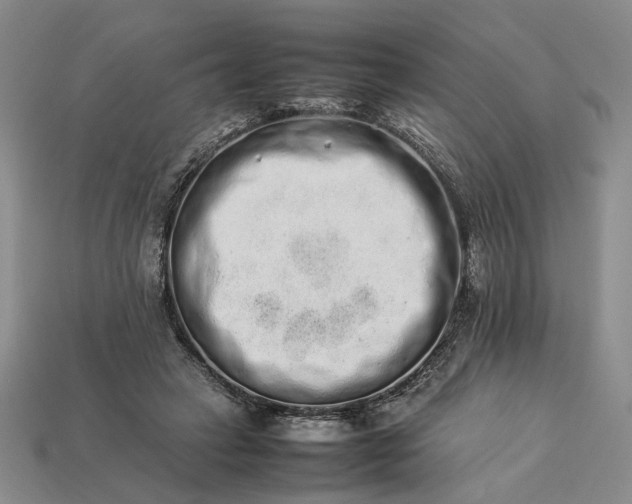 X0000113370449200909291055