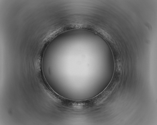 X0000113370450200909291055