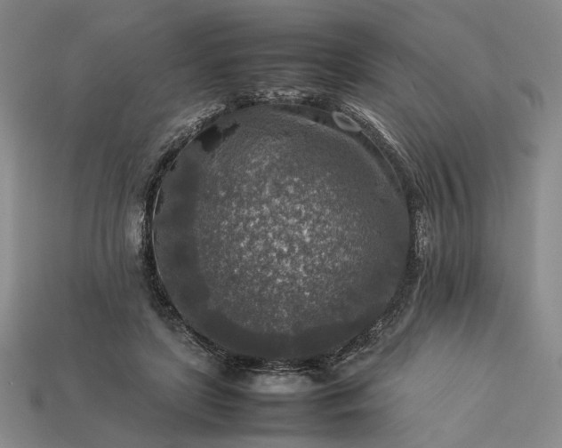 X0000113370451200909291055