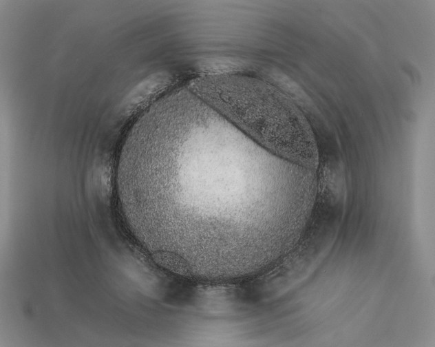 X0000113370452200909291055