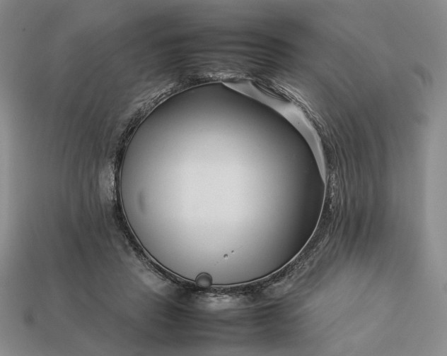 X0000113370453200909291055