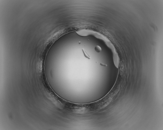 X0000113370454200909291055