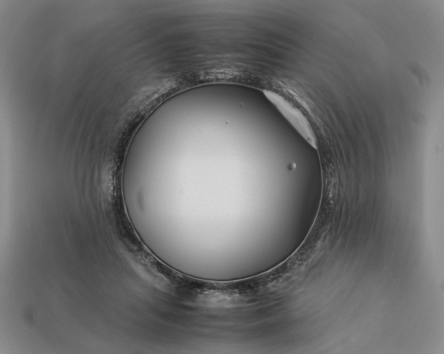 X0000113370455200909291055