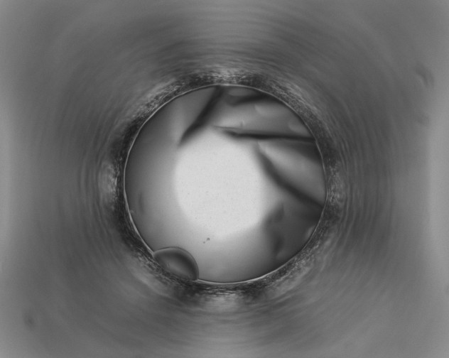 X0000113370456200909291055