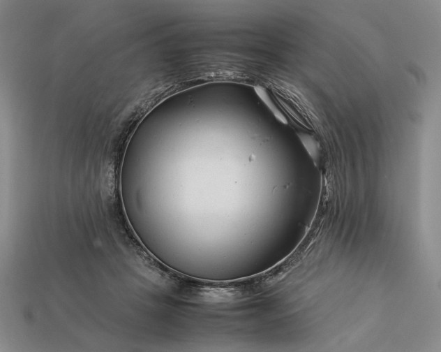 X0000113370457200909291055