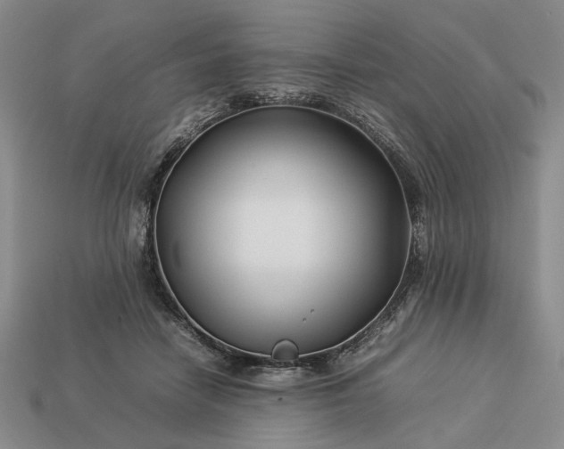 X0000113370458200909291055