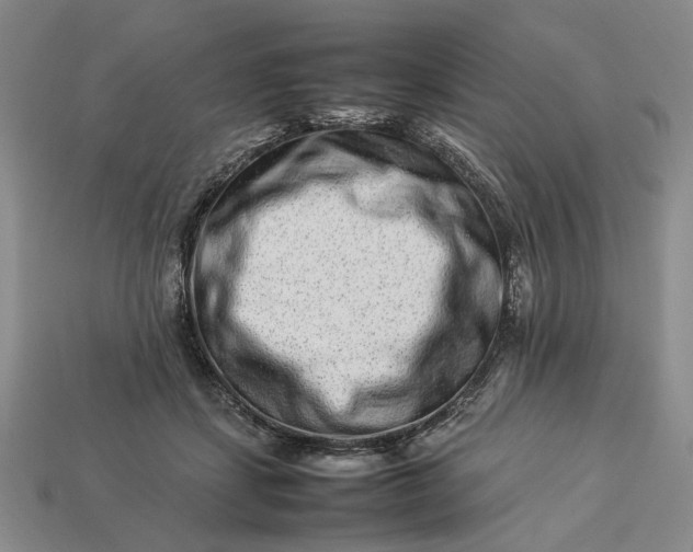 X0000113370459200909291055