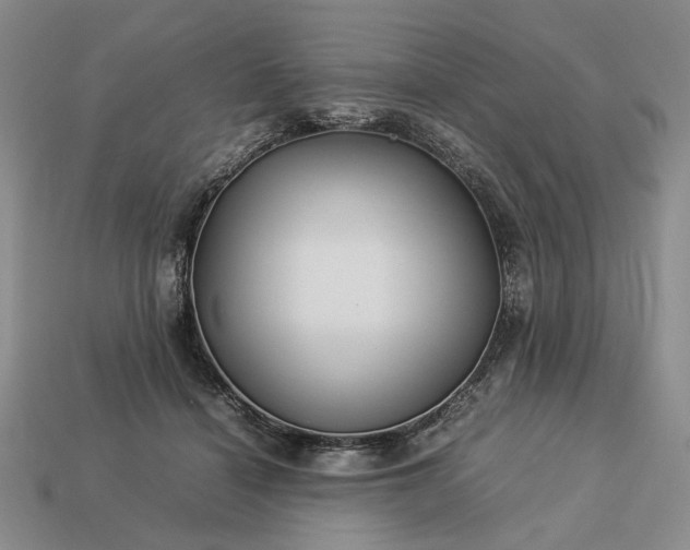 X0000113370460200909291055