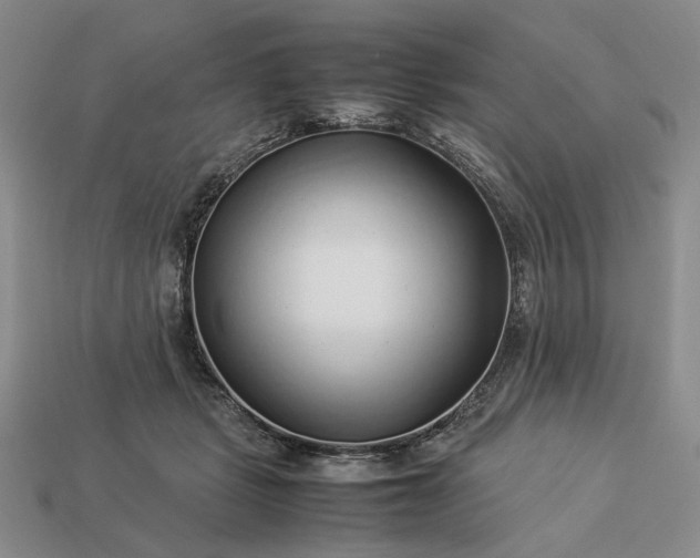 X0000113370461200909291055