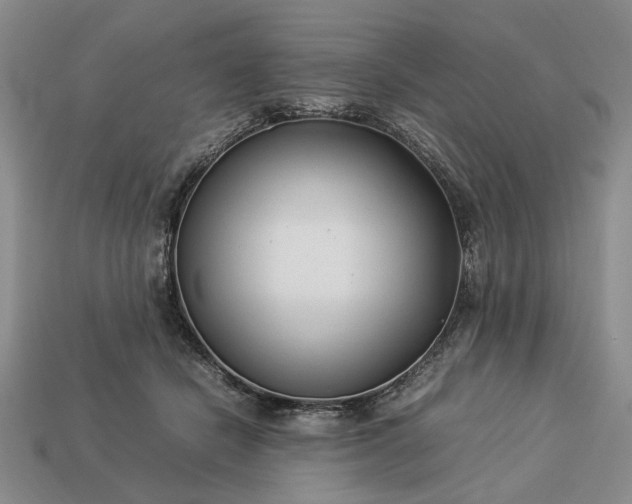 X0000113370462200909291055