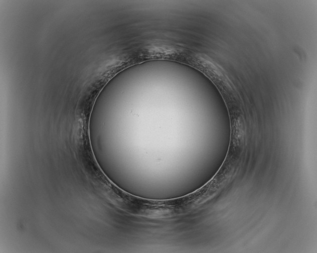 X0000113370463200909291055