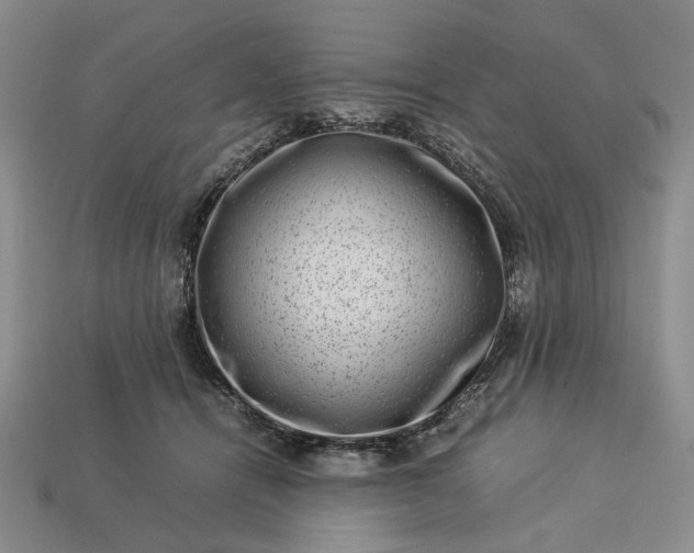 X0000113370464200909291055