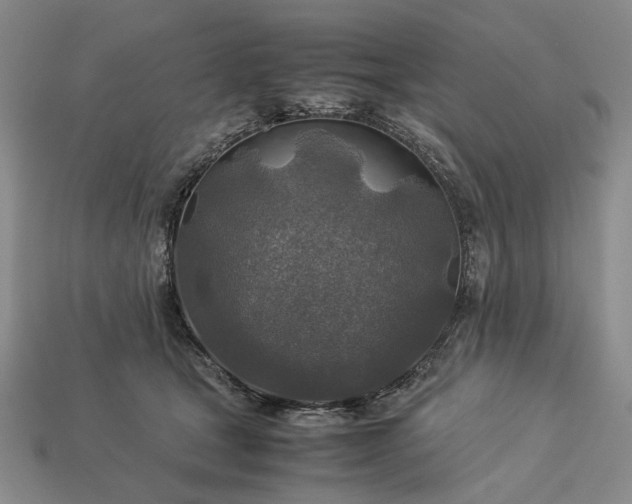 X0000113370465200909291055