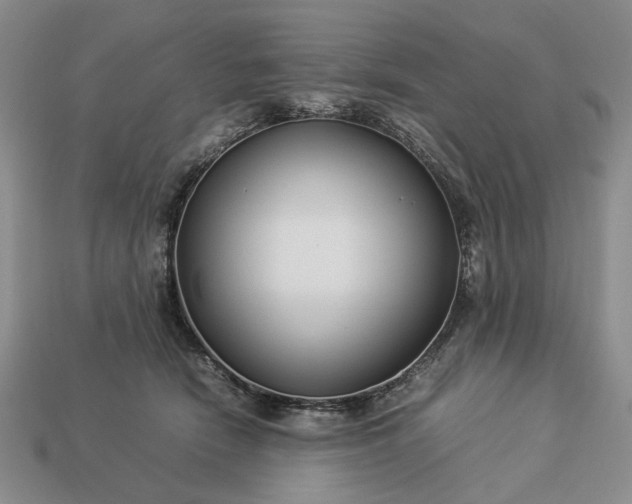 X0000113370466200909291055