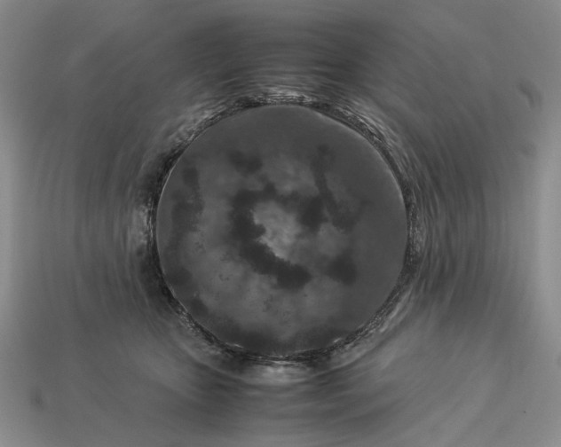 X0000113370467200909291055