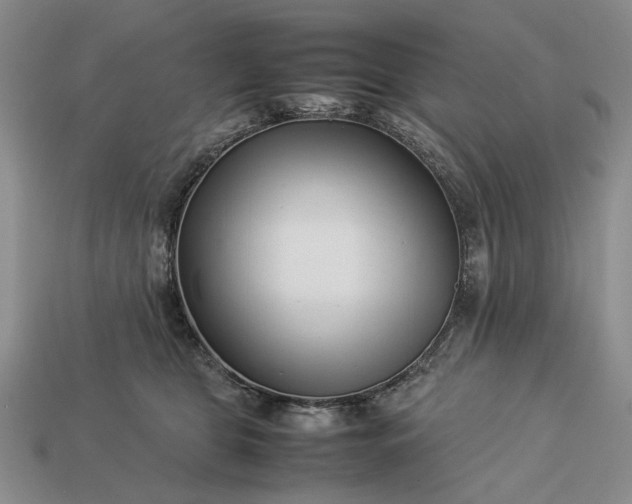 X0000113370469200909291055